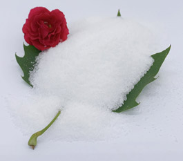 Ce tip de poliacrilamidă este mai eficientă pentru tratarea apei reziduale de spălare a mașinilor?