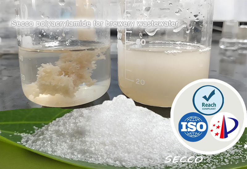 Selecția și eficacitatea poliacrilamidei (PAM) &icirc;n tratarea apei reziduale din fabrica de bere